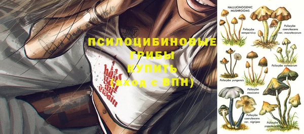 PSILOCYBIN Абдулино