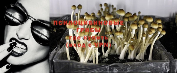 ешки Магас