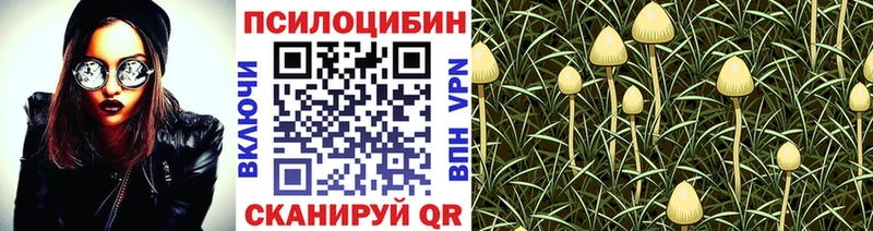 Псилоцибиновые грибы Psilocybine cubensis  наркошоп  Юрюзань 
